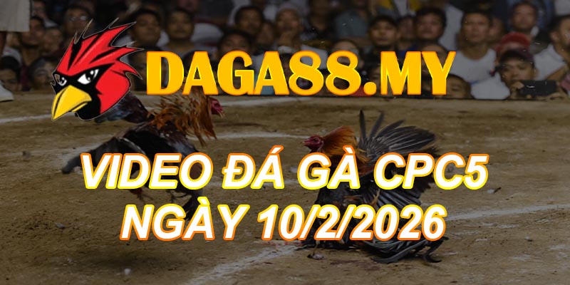VIDEO GÀ CPC5 NGÀY 10/2/2026