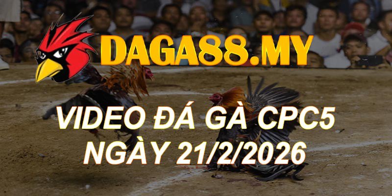 VIDEO GÀ CPC5 NGÀY 21/2/2026