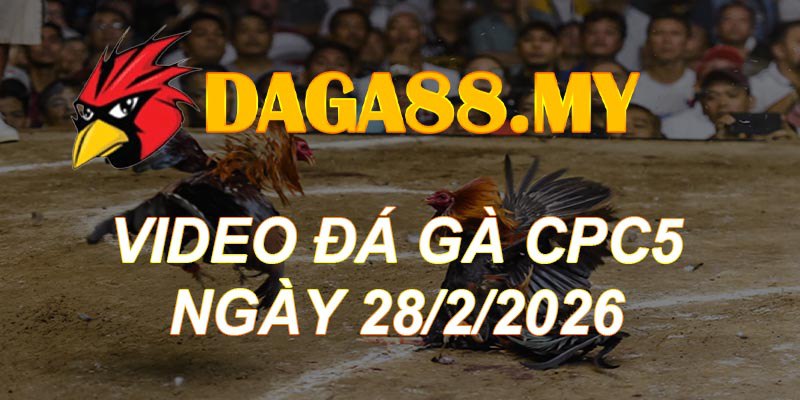 VIDEO GÀ CPC5 NGÀY 28/2/2026