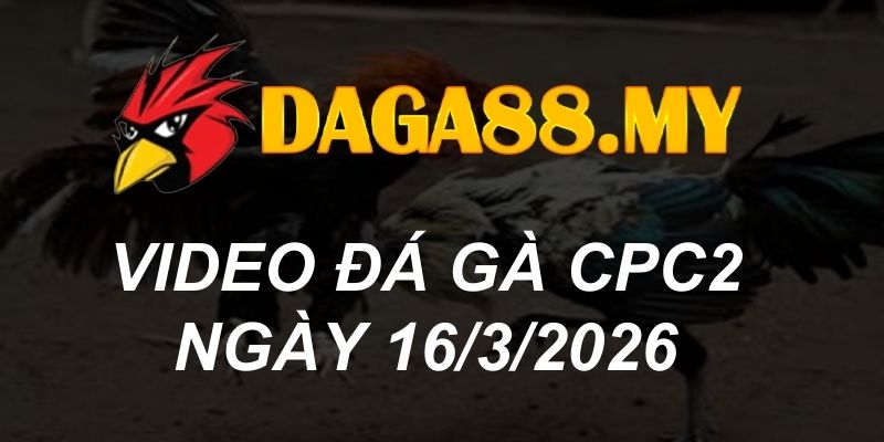 VIDEO GÀ CPC2 NGÀY 16/3/2026
