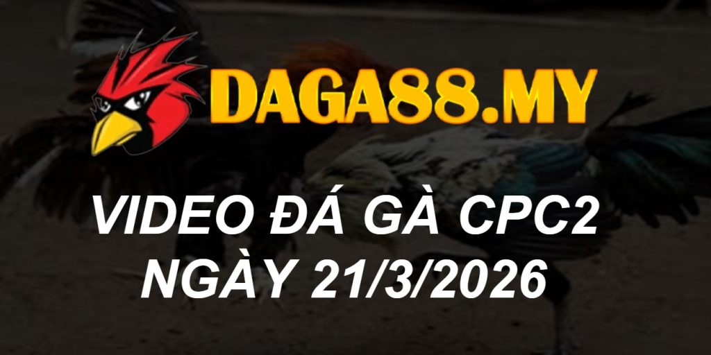 VIDEO GÀ CPC2 NGÀY 21/3/2026