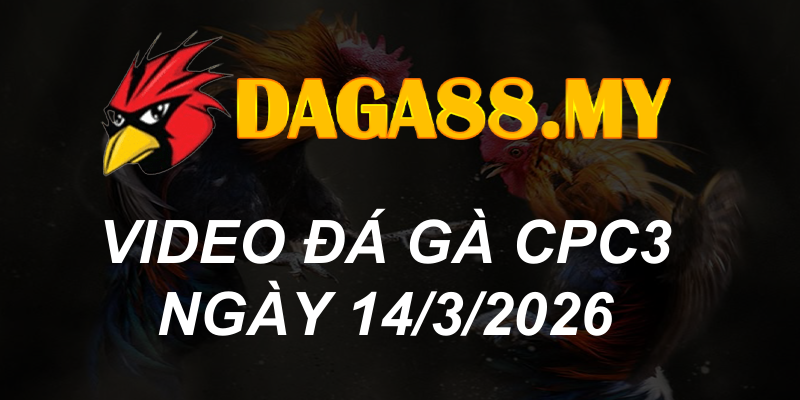 VIDEO GÀ CPC3 NGÀY 14/3/2026