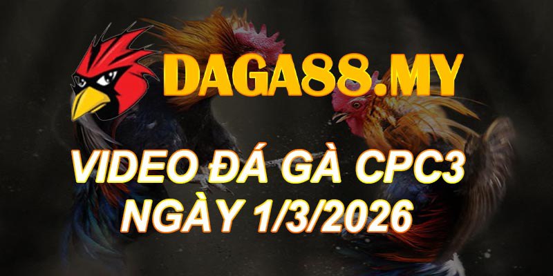 VIDEO GÀ CPC3 NGÀY 1/3/2026