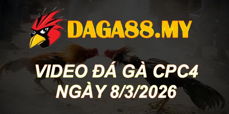 VIDEO GÀ CPC4 NGÀY 8/3/2026