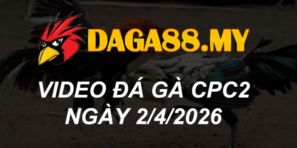 VIDEO GÀ CPC2 NGÀY 2/4/2026
