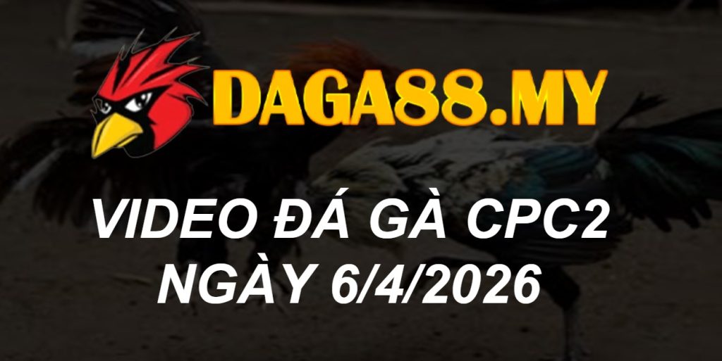 VIDEO GÀ CPC2 NGÀY 6/4/2026