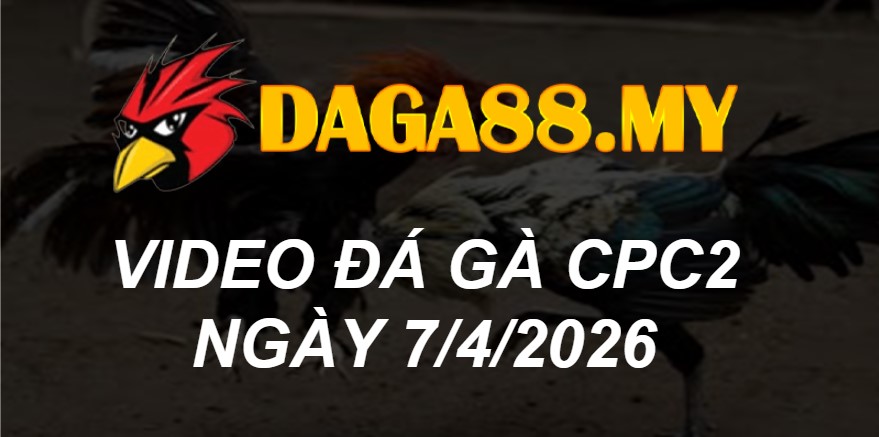 VIDEO GÀ CPC2 NGÀY 7/4/2026