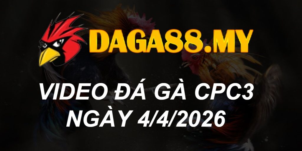 VIDEO GÀ CPC3 NGÀY 4/4/2026