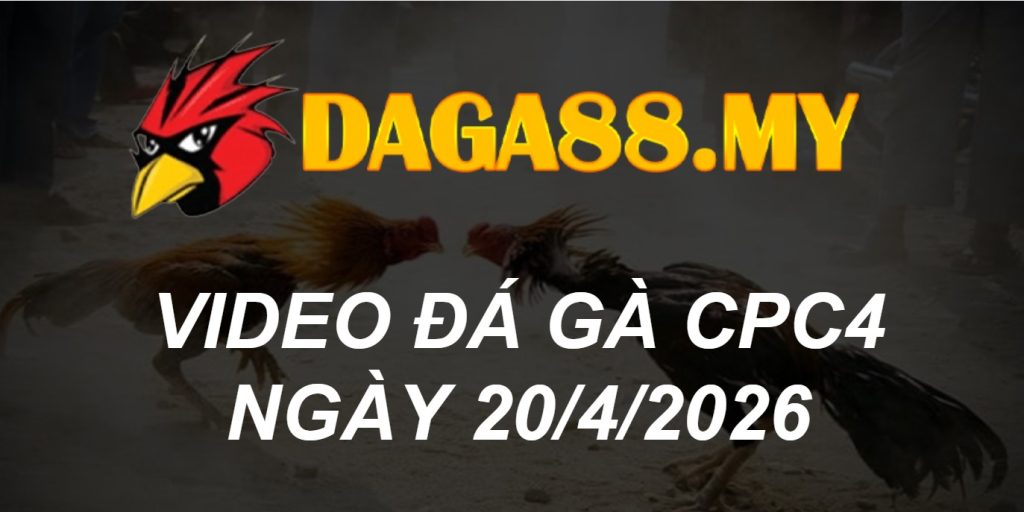 VIDEO GÀ CPC4 NGÀY 20/4/2026