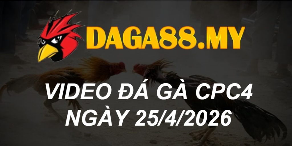 Video gà CPC4 ngày 25/04/2026